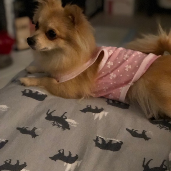 Meet your Posher, Edna - Picture 1 of 1